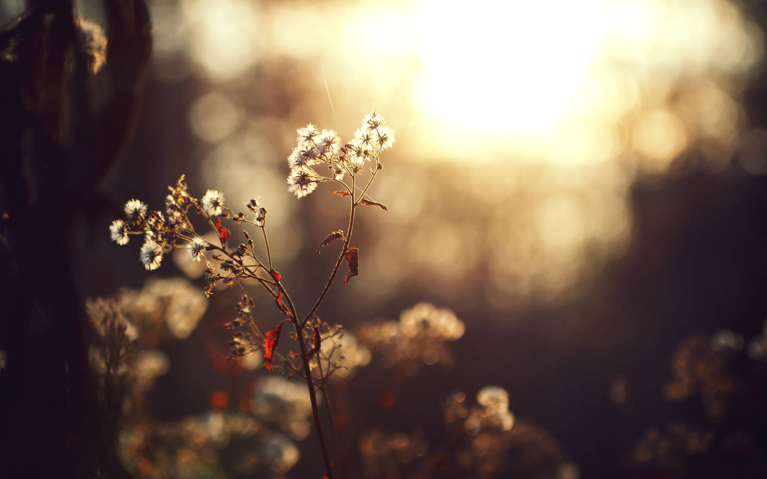 1920 x 1080 HD Wallpapers 212